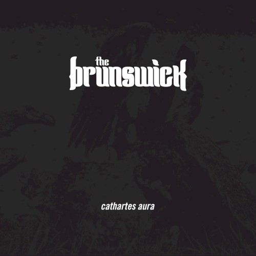 Cathartes Aura