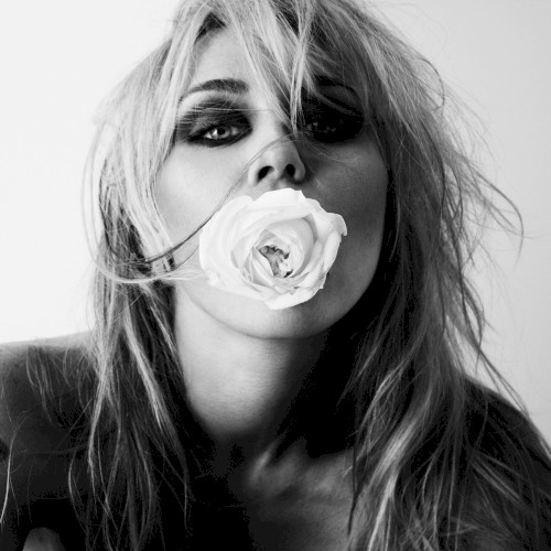 MILEY &ndash; Bass Persuades