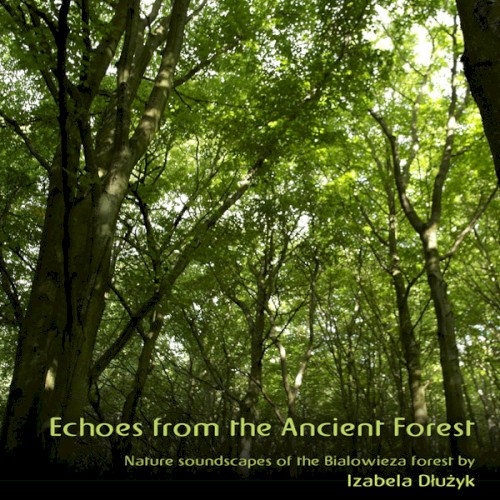 Echoes From the Ancient Forest