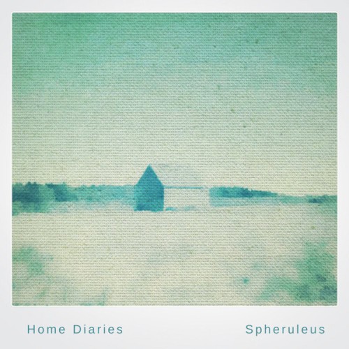 Home Diaries 006