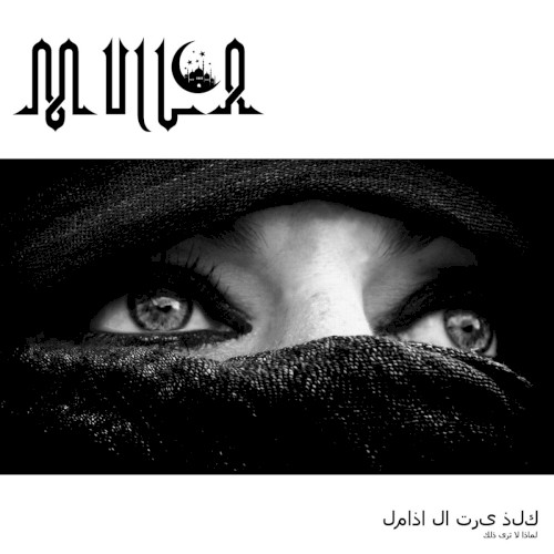 لماذا لا ترى ذلك