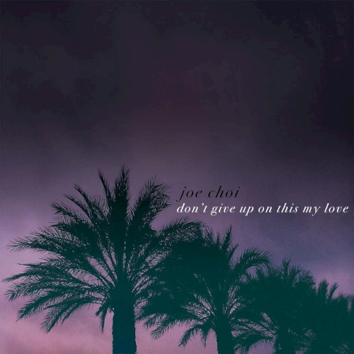 Don't Give up on This My Love