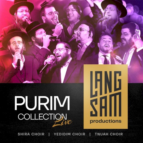 2025 Purim Collection
