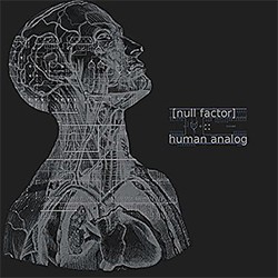 Human Analog
