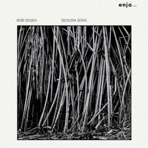 Sequoia Song