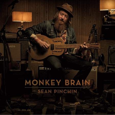 Monkey Brain