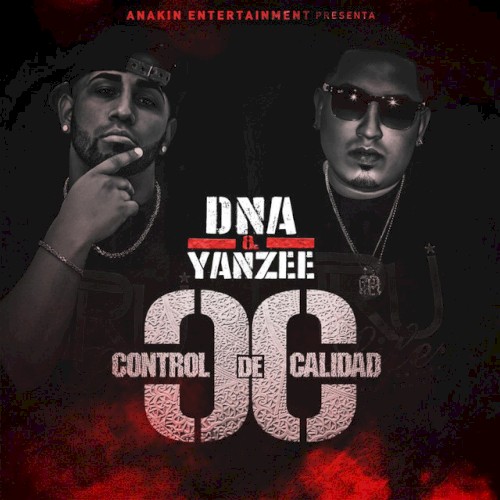 Control de calidad