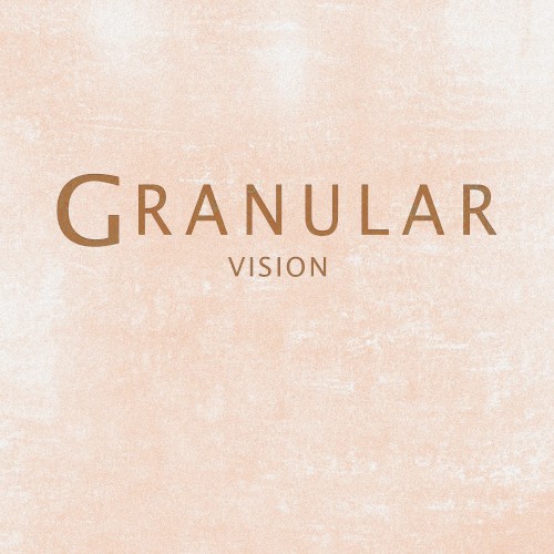 Vision