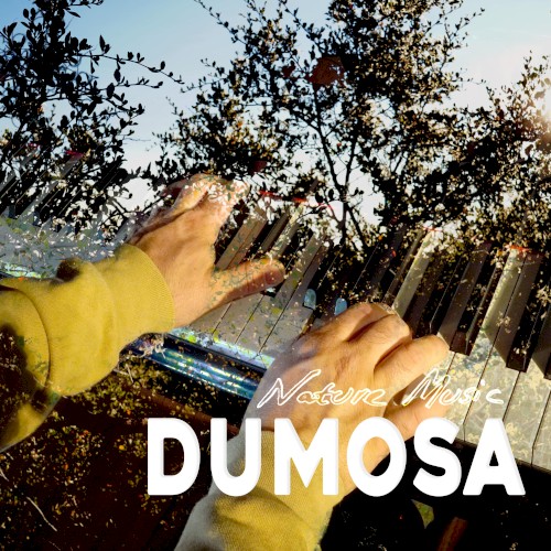 Nature Music