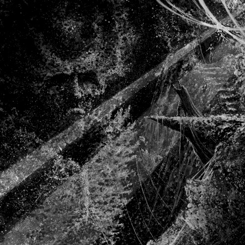Stillborn Grace of Liberty