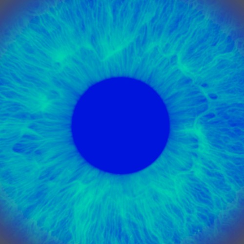 Eye On You