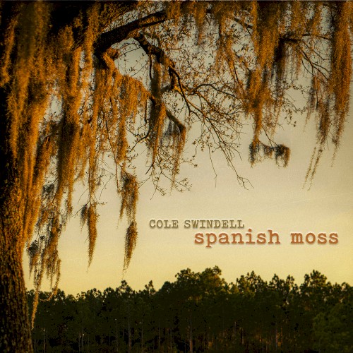 Spanish Moss