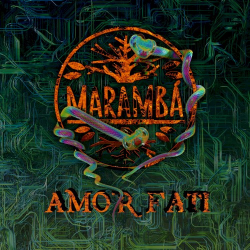 Amor Fati