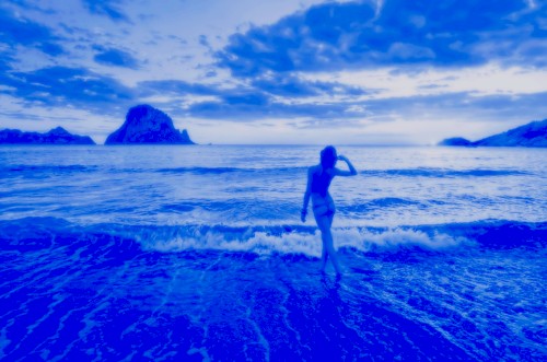 蒸WAVE気