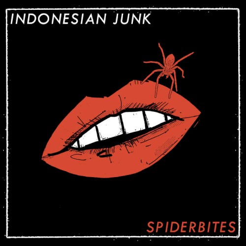 Spiderbites