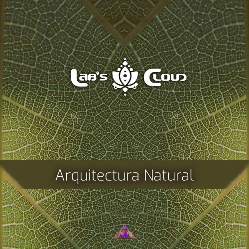 Arquitectura Natural