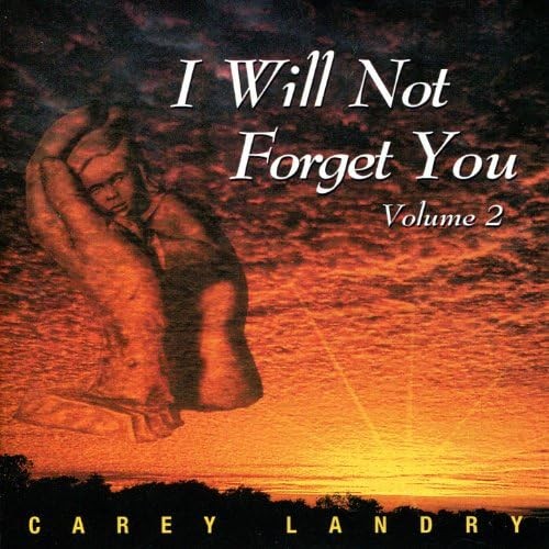 I Will Not Forget You, Volume 2