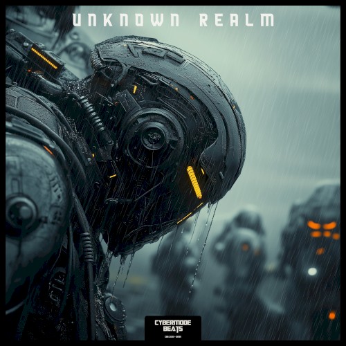 Unknown Realm