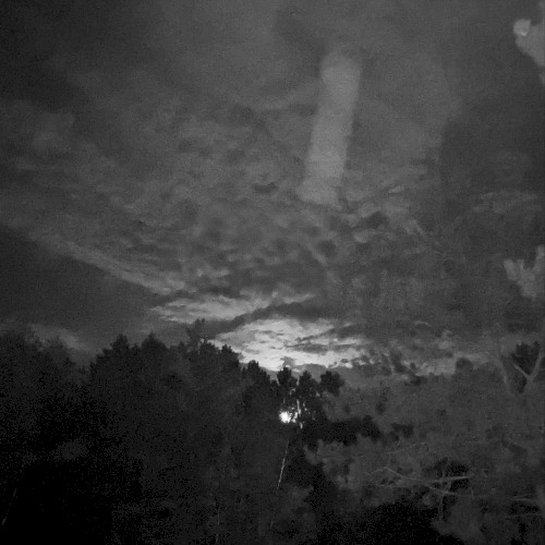 Hallowed