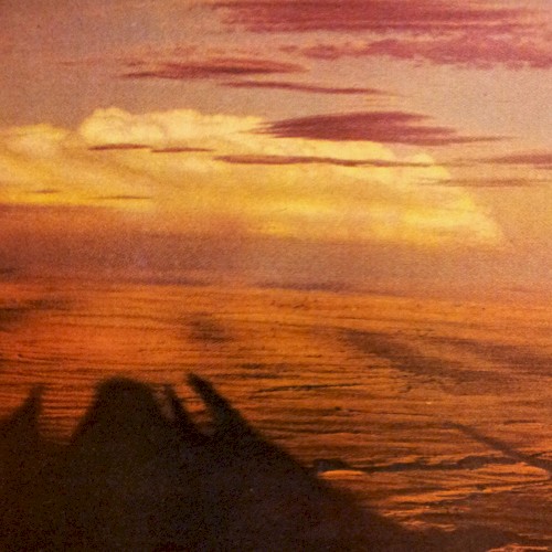 You Stand in a Valley Between Dunes