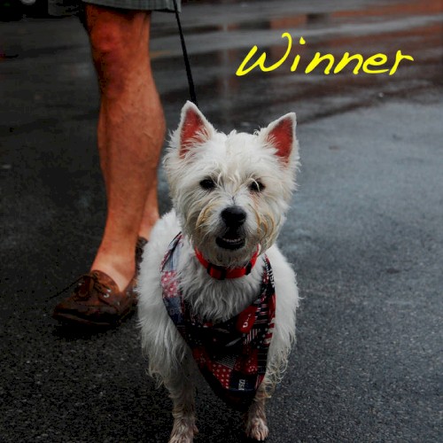 Winner
