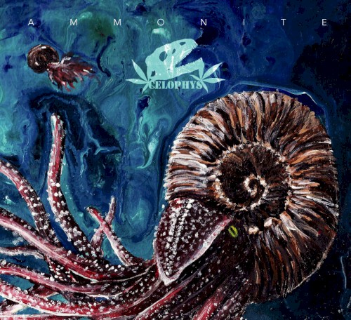 Ammonite