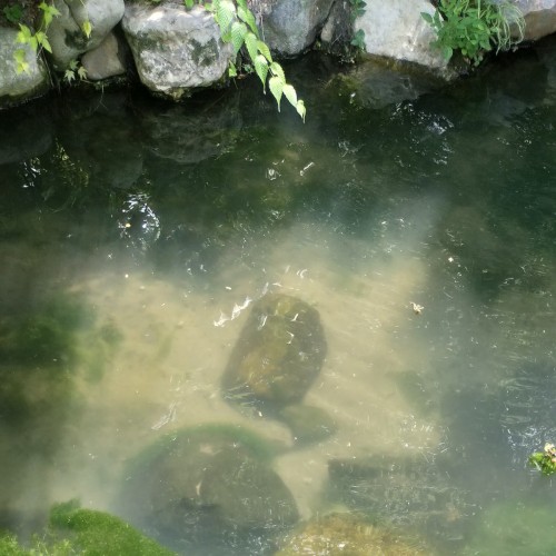 ambient kyoto 0001
