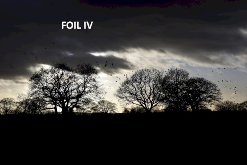 Foil IV