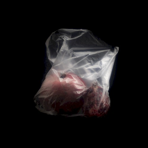 Heart In A Plastic Bag