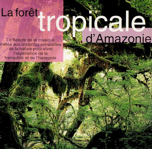 La Forêt Tropicale D'Amazonie