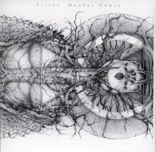 Mundus Numen