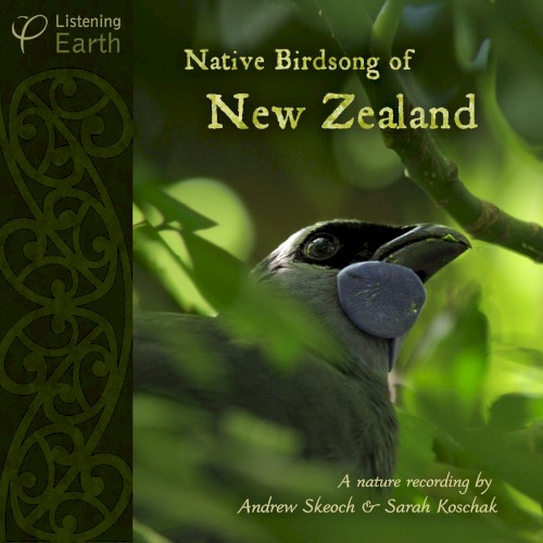 Native Birdsong of New Zealand