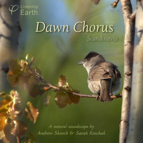 Dawn Chorus: Scandinavia
