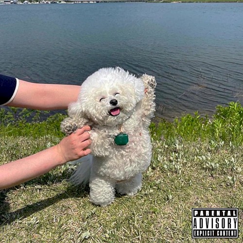 Good Men Die Like Dogs