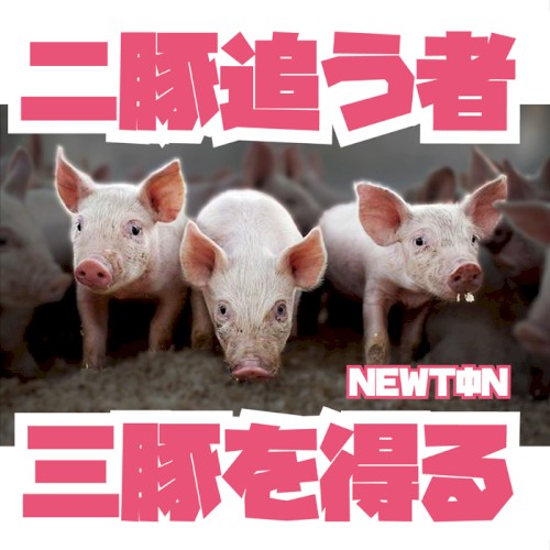 豚追う者 三豚を得る