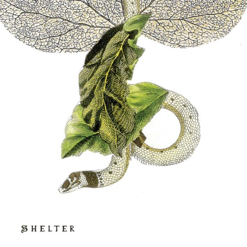 Shelter