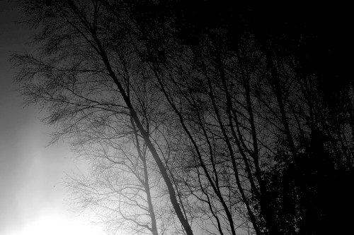 Melancholia