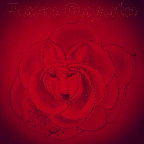 Rose Coyote