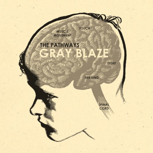 Gray Blaze