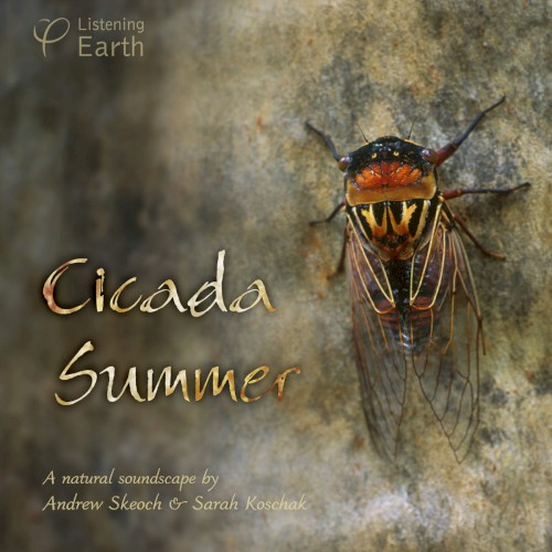 Cicada Summer