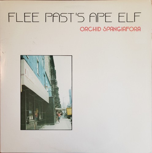 Flee Past’s Ape Elf
