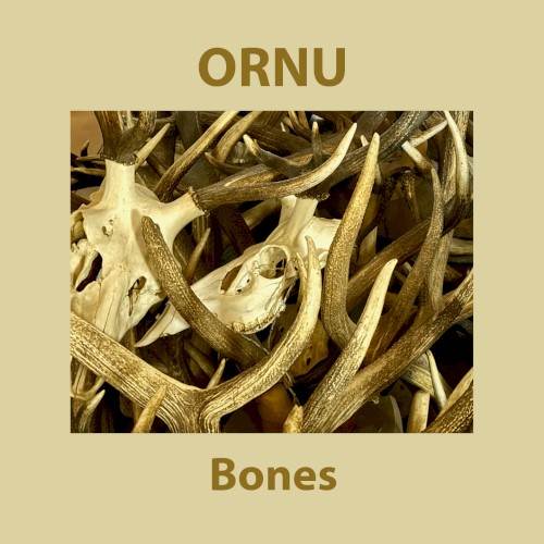 Bones