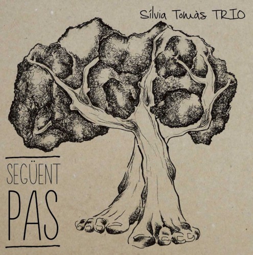 Següent Pas