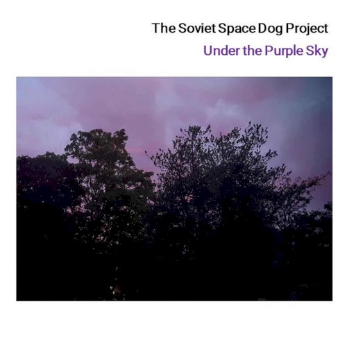 Under the Purple Sky