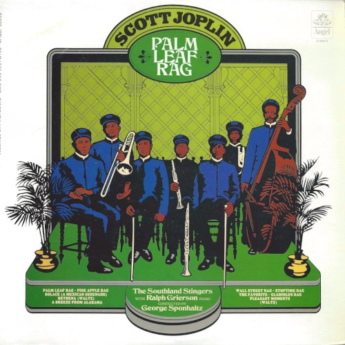 Palm Leaf Rag