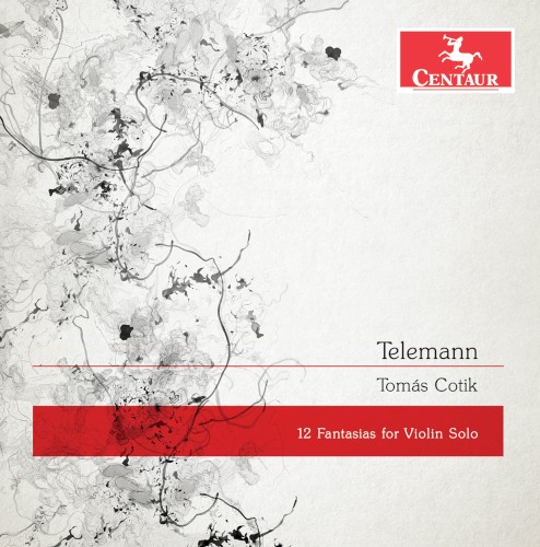 12 Fantasias for Violin Solo