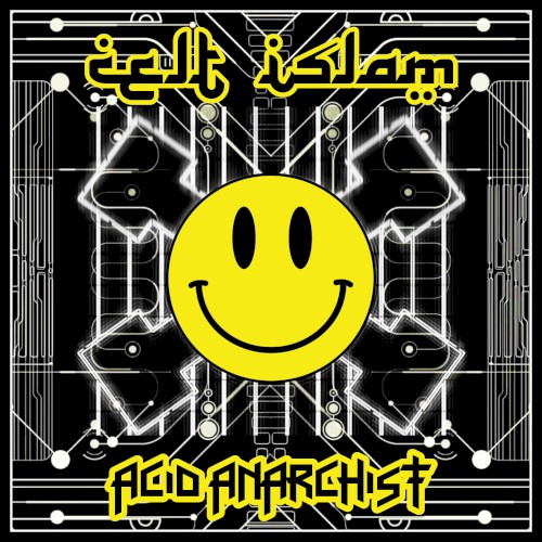 Acid Anarchist