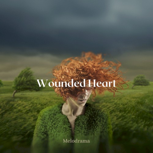 Wounded Heart