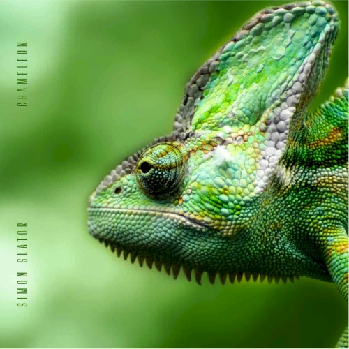 Simon Slator &ndash; Chameleon