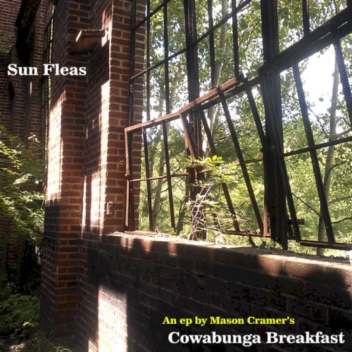 Sun Fleas